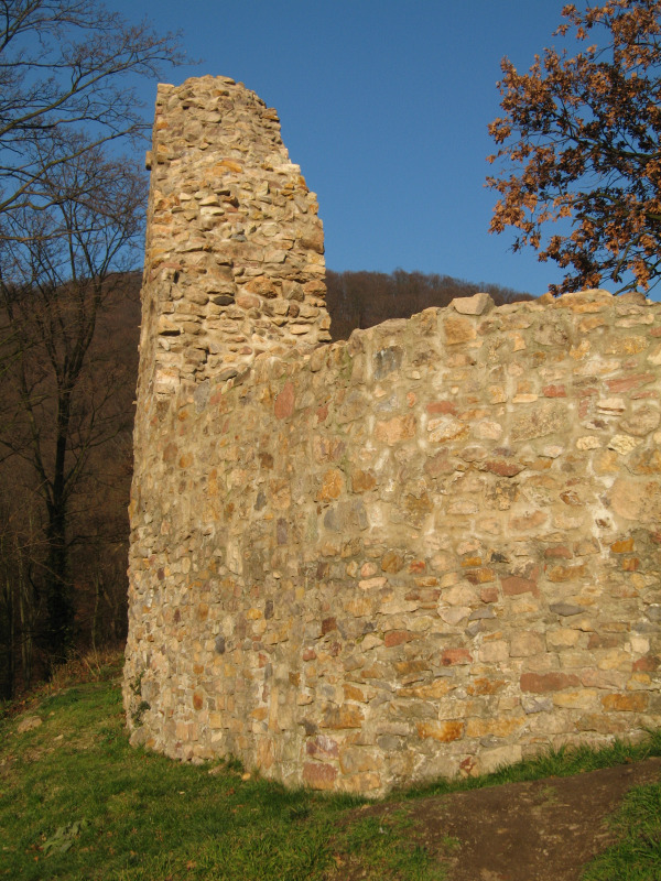 Burgruine Schauenburg