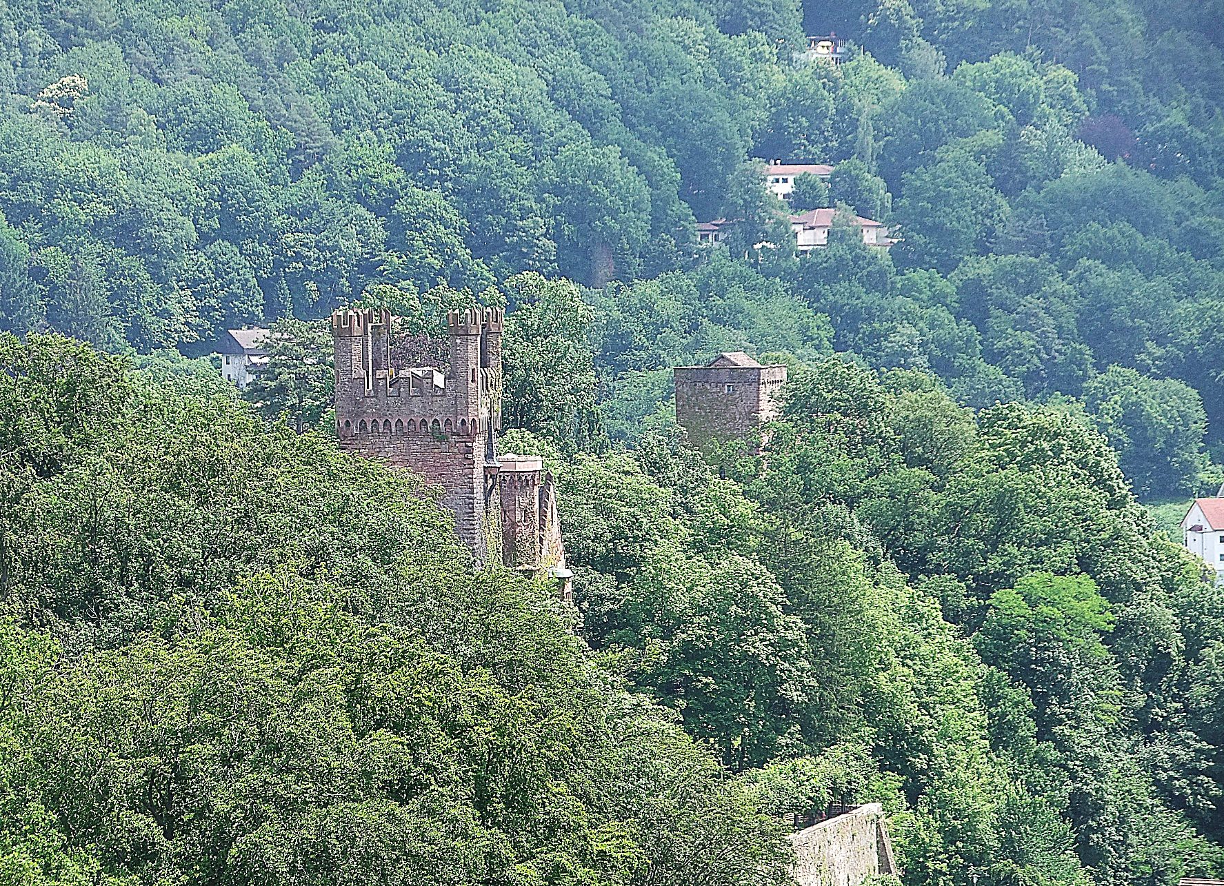 Vorderburg Neckarsteinach RheinNeckarWiki