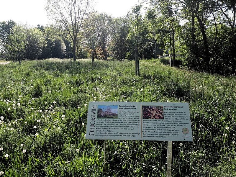 Datei:Schauwiesen Herxheim 6.jpg