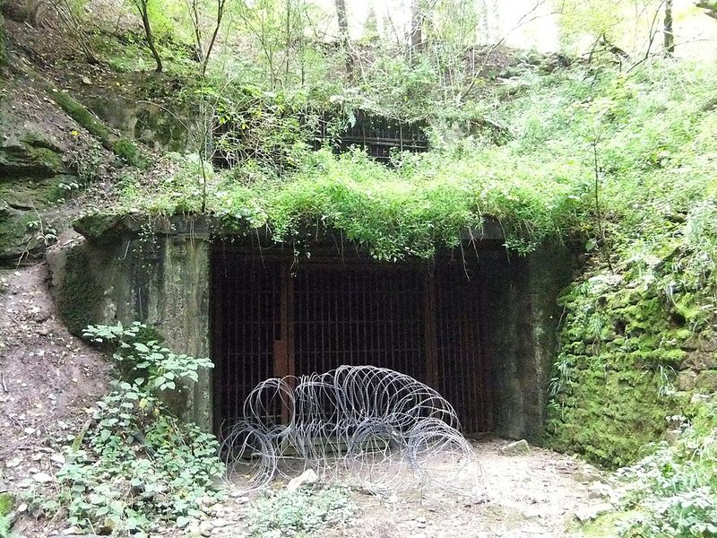 Datei:Goldfisch Obrigheim 07.JPG