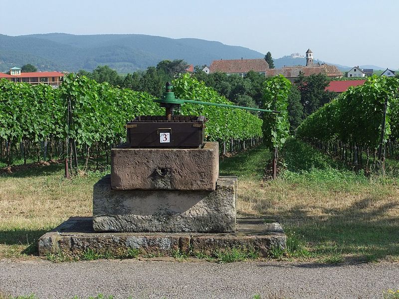 Datei:Weinlehrpfad Edenkoben 09.JPG