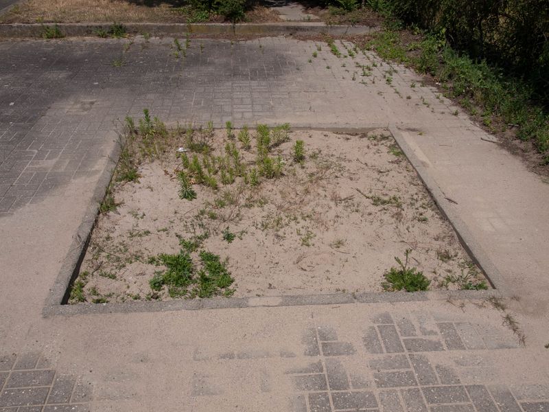 Datei:Rollschuhbahn und Schlittschuhbahn Schwetzingen-2.jpg