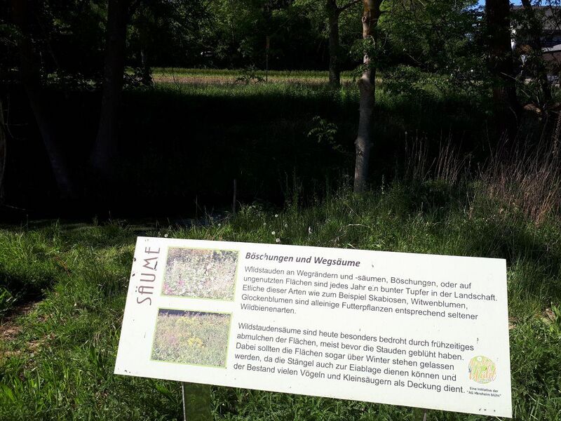 Datei:Schauwiesen Herxheim 1.jpg