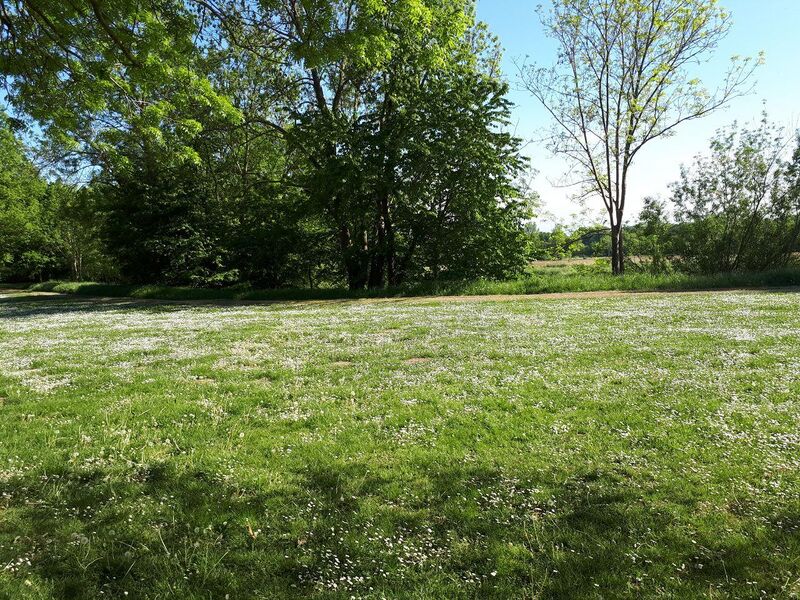 Datei:Blitzwiesen Herxheim 2.jpg