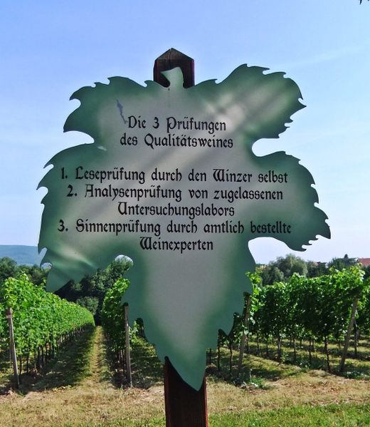 Datei:Weinlehrpfad Edenkoben 19.JPG