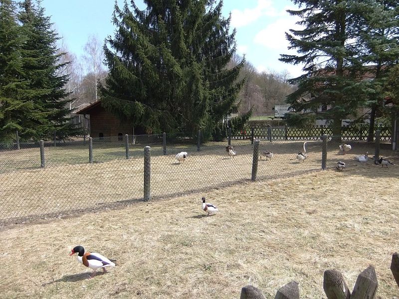 Datei:Vogelpark Balzfeld 04.JPG