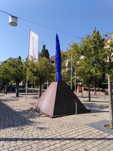 Datei:Pyramidenpappel Schwetzingen.jpeg