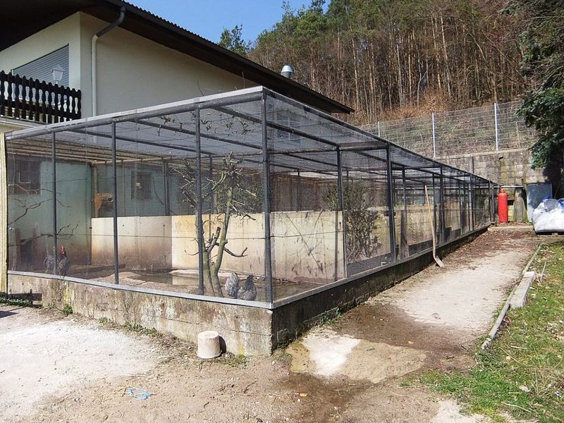 Datei:Tierpark Eschelbach 2.JPG