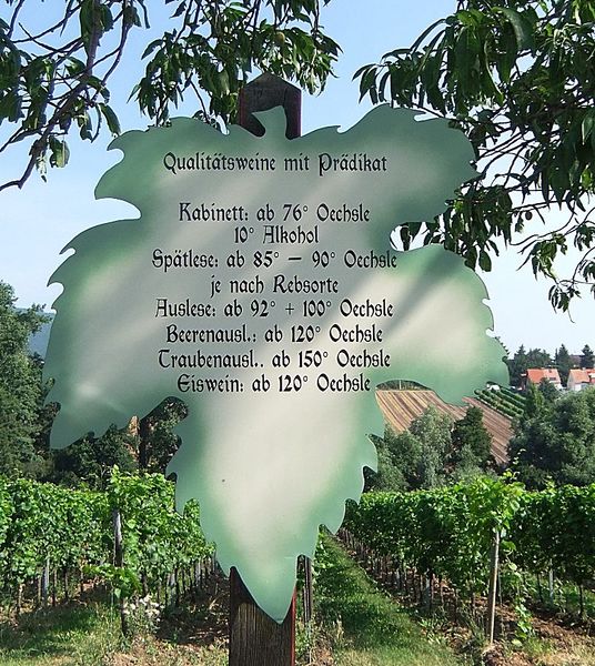 Datei:Weinlehrpfad Edenkoben 41.JPG