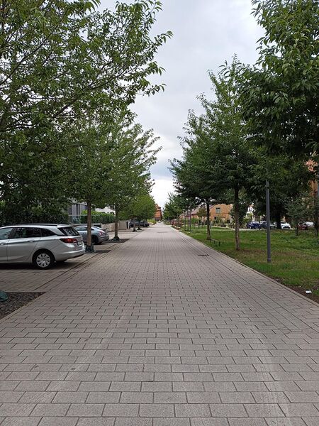 Datei:Emma-Geenen-Straße Landau 3.jpeg