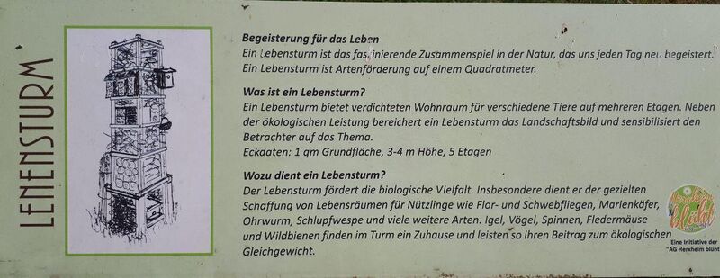 Datei:Infotafel Schauwiesen Herxheim 4.jpg