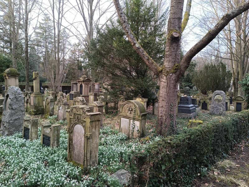 Datei:Jüdischer Friedhof Landau 7.jpeg