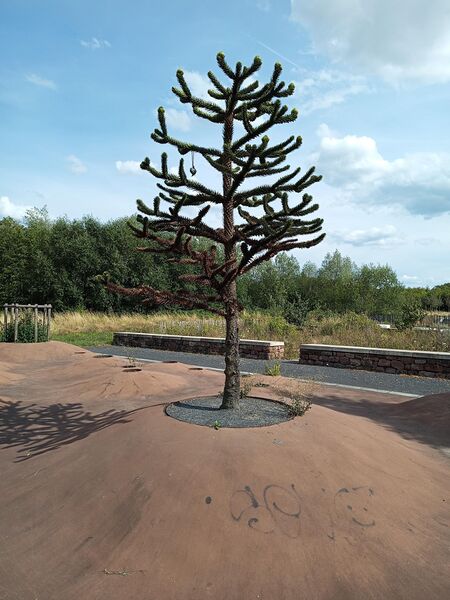 Datei:LGS Landau Ölgarten 2.jpeg