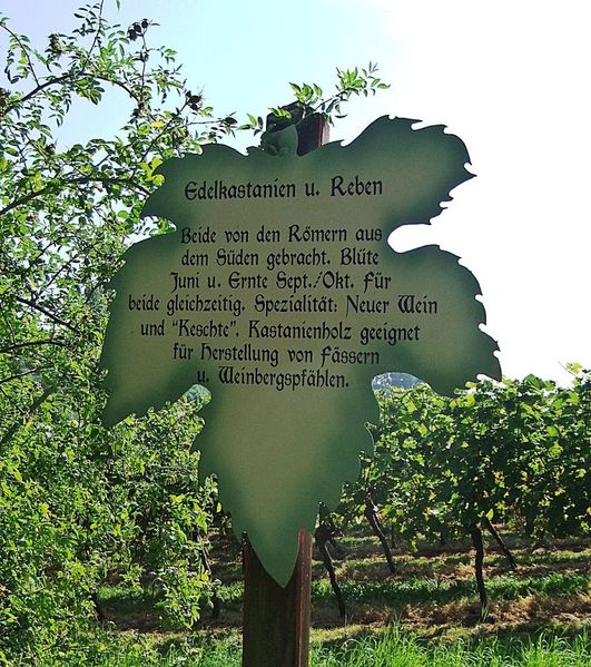 Datei:Weinlehrpfad Edenkoben 52.JPG