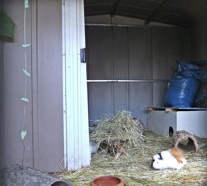 Datei:Vogelpark Reilingen 09.JPG