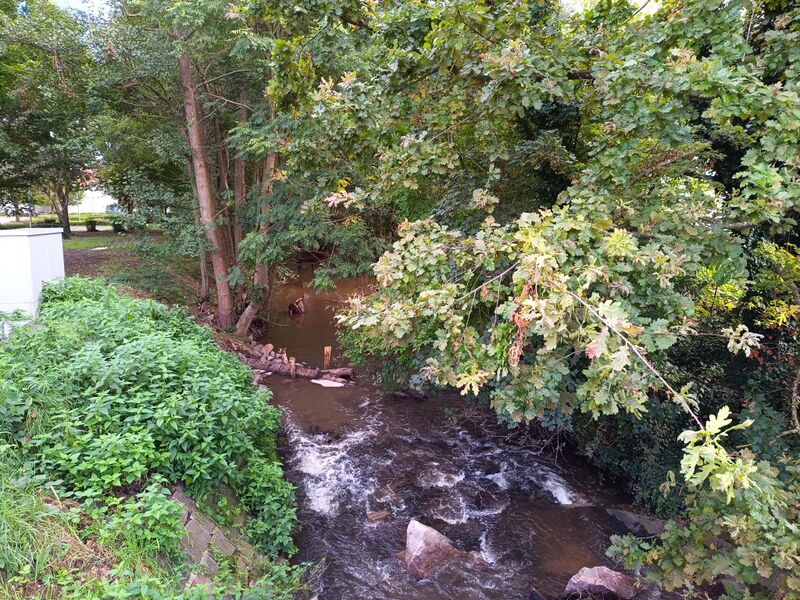 Datei:Panzergraben Herxheim 2.jpeg