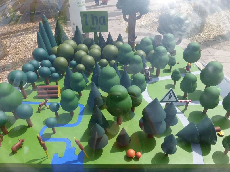 Datei:LGS Landau Heimatwald 4.JPG