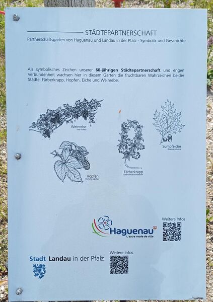 Datei:Partnerschaftsgarten Haguenau 4.jpeg