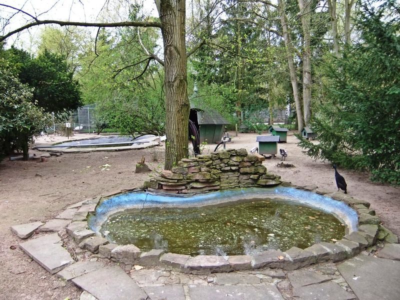 Datei:Tierpark Walldorf 02.JPG