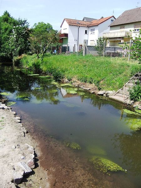 Datei:Klingbach Rülzheim 01.JPG