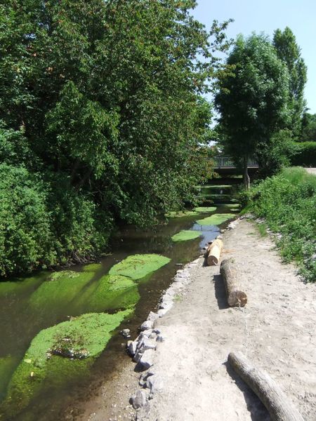 Datei:Klingbach Rülzheim 02.JPG