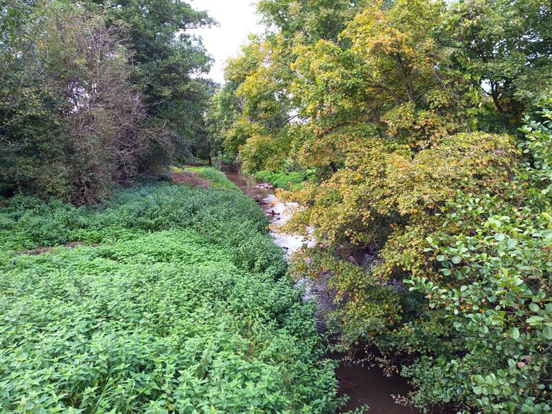 Datei:Panzergraben Herxheim 1.jpeg