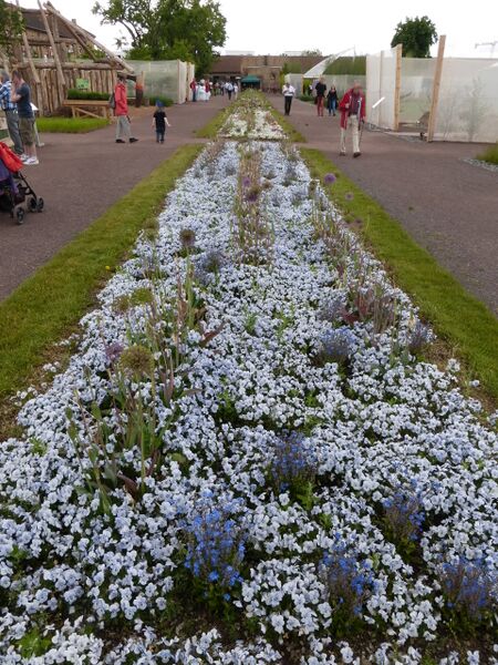 Datei:LGS Landau Pflanzstreifen.JPG