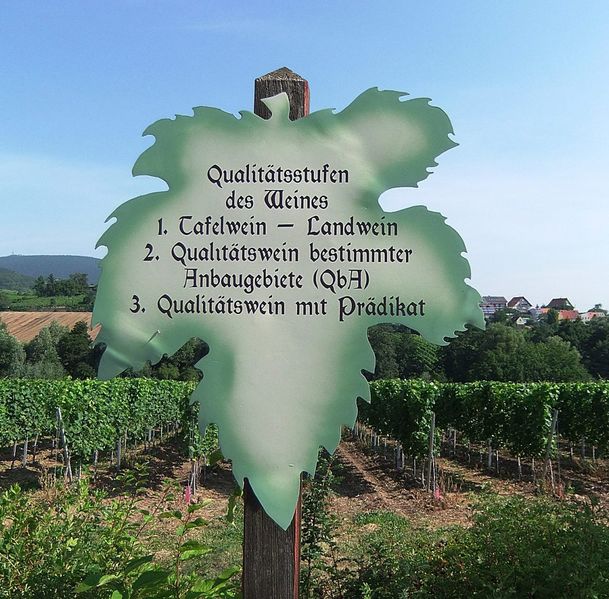 Datei:Weinlehrpfad Edenkoben 40.JPG