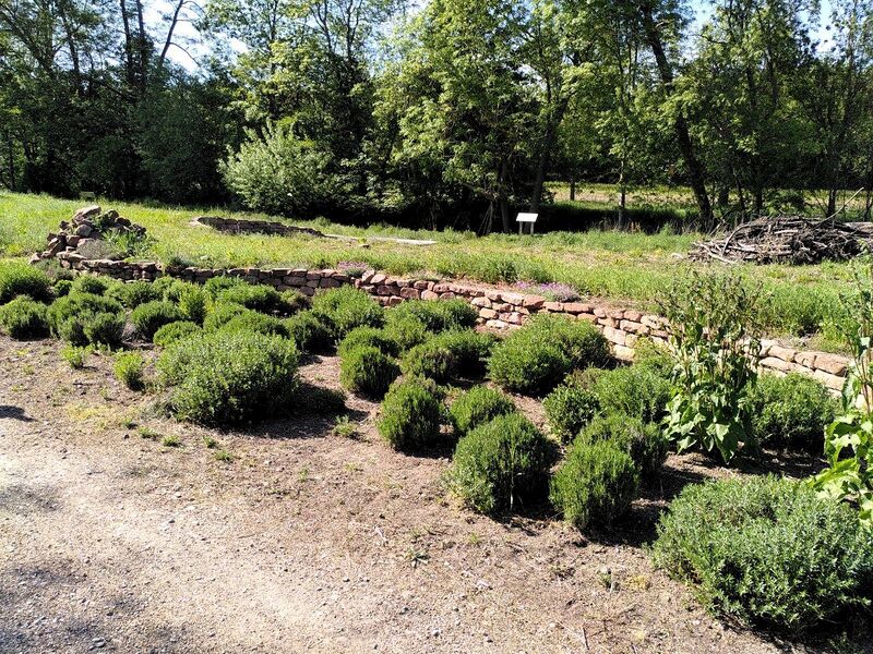 Datei:Schauwiesen Herxheim 4.jpg