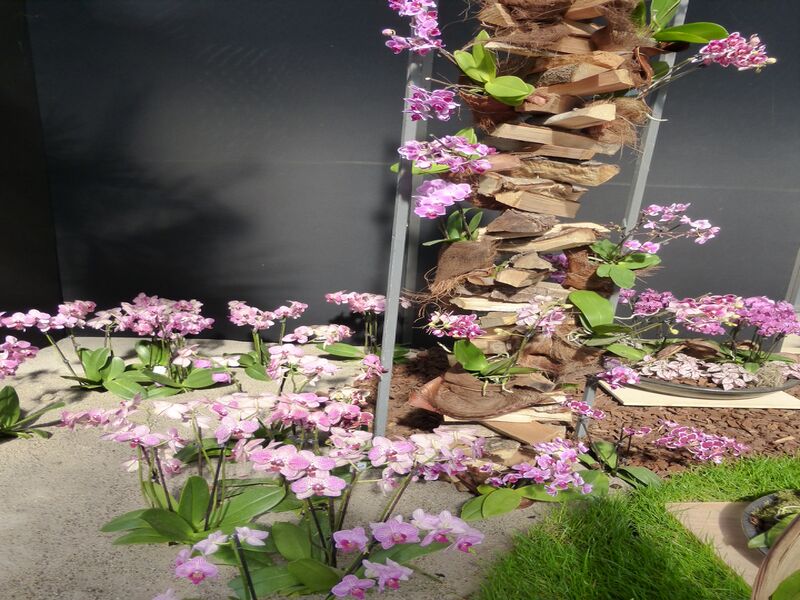 Datei:LGS Landau Blumenhalle 2.JPG