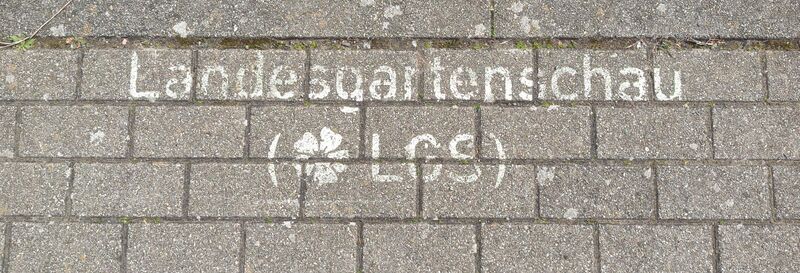 Datei:LGS-Wegweiser Lise-Meitner-Straße Landau.jpeg