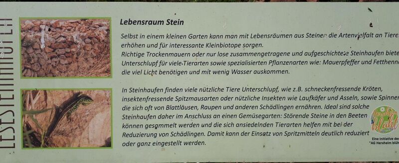 Datei:Infotafel Schauwiesen Herxheim 3.jpg