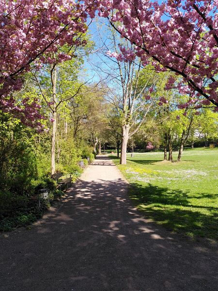 Datei:Goethepark Landau 24.jpeg