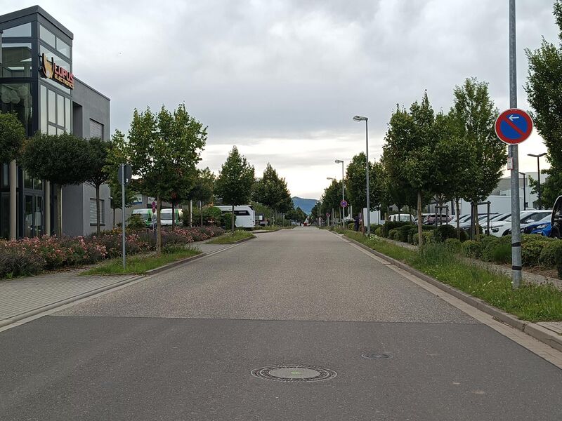 Datei:Otto-Hahn-Straße Landau 3.jpeg