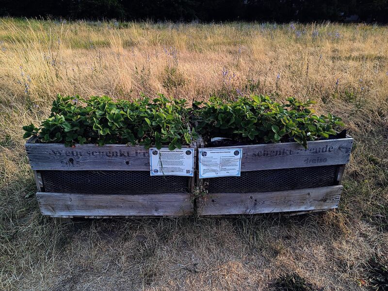 Datei:Queichpark 3.jpeg