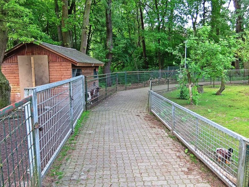 Datei:Kleinzoo Rülzheim 3.JPG