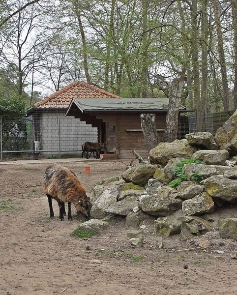 Datei:Tierpark Walldorf 04.JPG