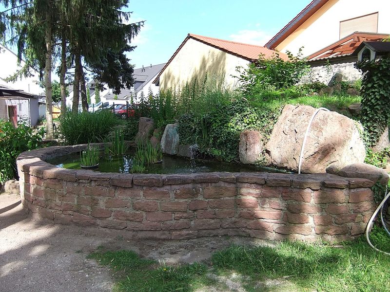 Datei:Vogelpark Altlussheim 13.JPG