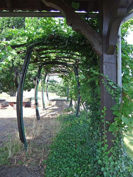 Datei:Weinlehrpfad Edenkoben 25.JPG