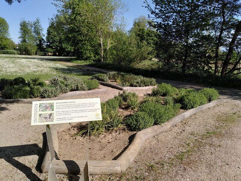 Datei:Schauwiesen Herxheim 7.jpg