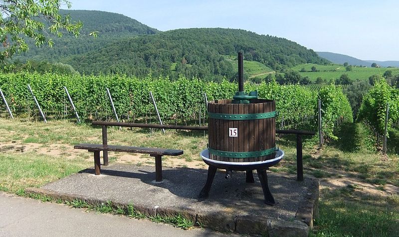 Datei:Weinlehrpfad Edenkoben 49.JPG