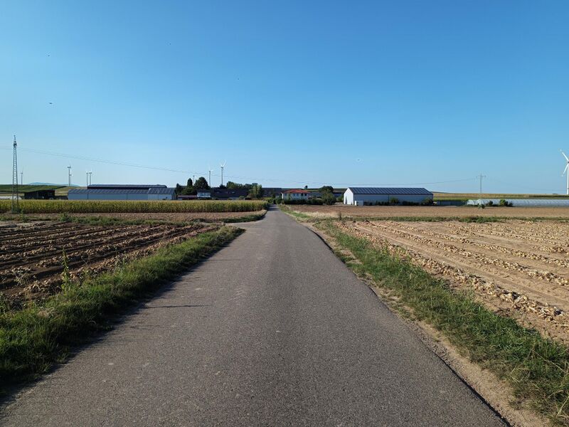 Datei:Am Wingertsberg Herxheim 1.jpeg