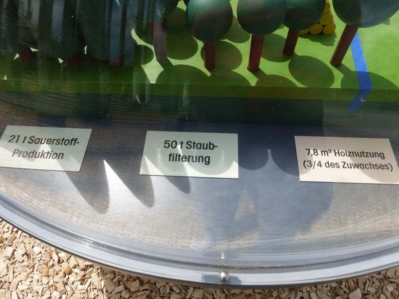 Datei:LGS Landau Heimatwald 7.JPG