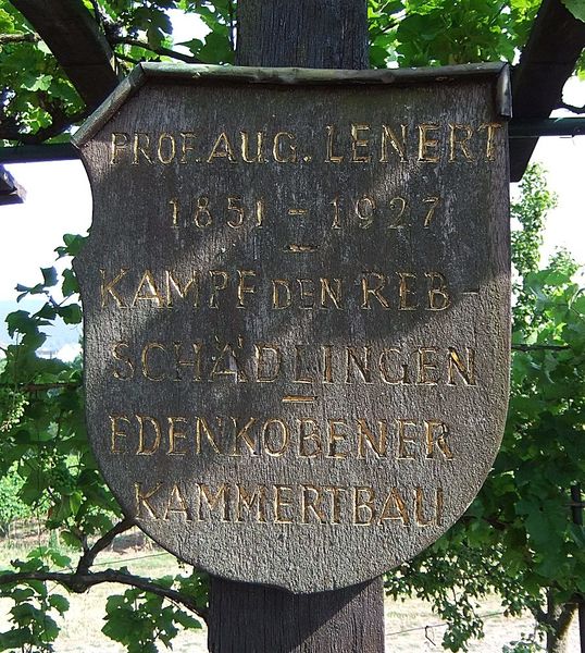 Datei:Weinlehrpfad Edenkoben 27.JPG