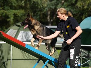 Agility Turnier Schäferhundeverein Ketsch-02.jpg