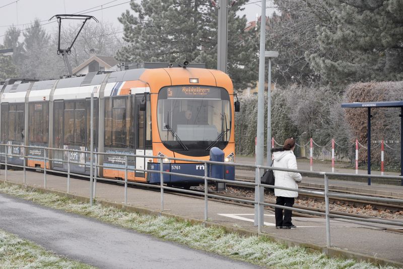 Datei:Linie 5 in HD Fachhochschule.jpg