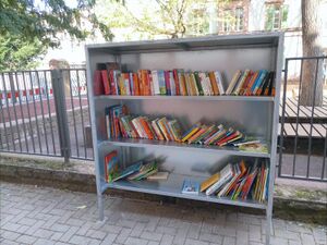 Foto eines Bücherregals im Freien. Es ist etwa zur Hälfte mit Büchern gefüllt.
