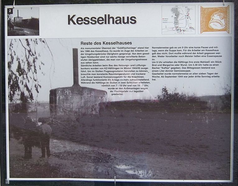 Datei:Goldfisch Obrigheim 14.JPG