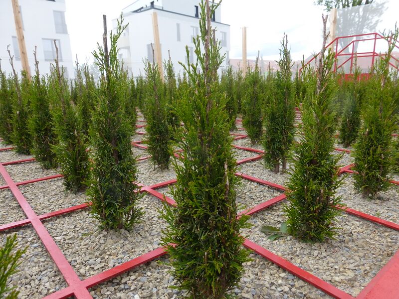 Datei:LGS Landau Gartenkabinett bizarr 3.JPG