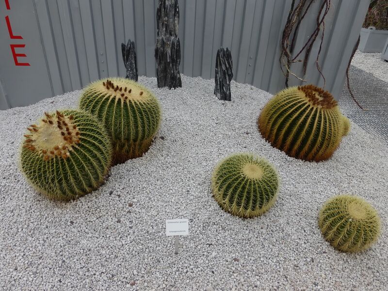 Datei:LGS Landau Blumenhalle 1.JPG